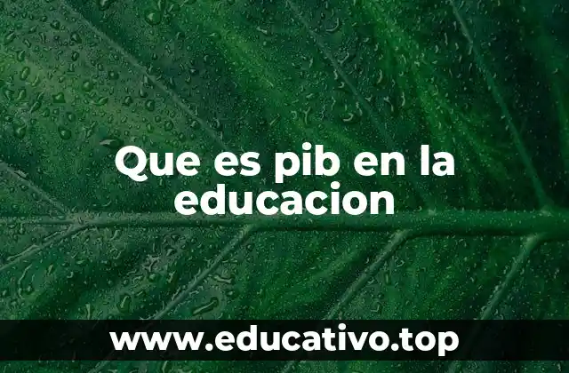 Que es pib en la educacion