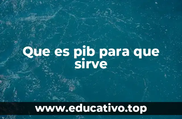 Que es pib para que sirve