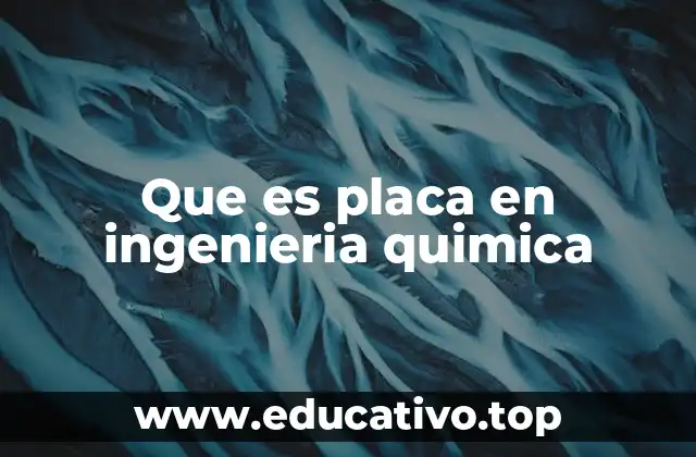 Que es placa en ingenieria quimica