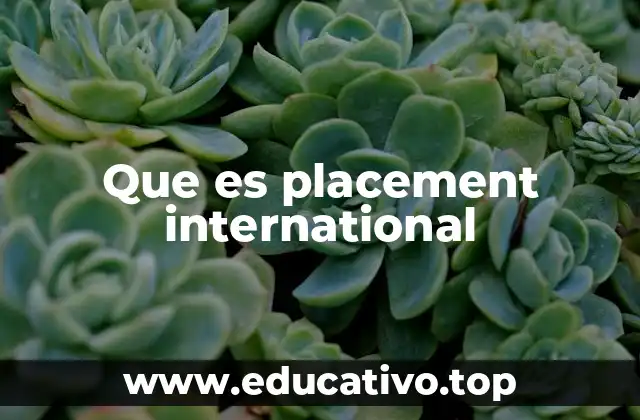 El papel del placement internacional en la internacionalización empresarial