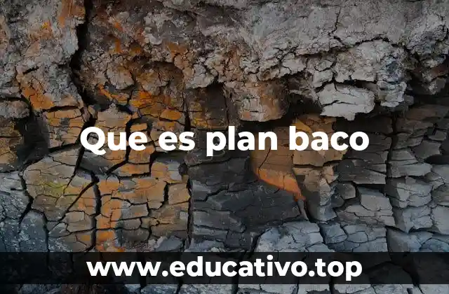 Que es plan baco