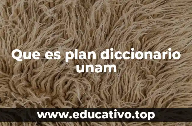 Que es plan diccionario unam