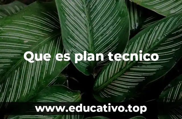Que es plan tecnico
