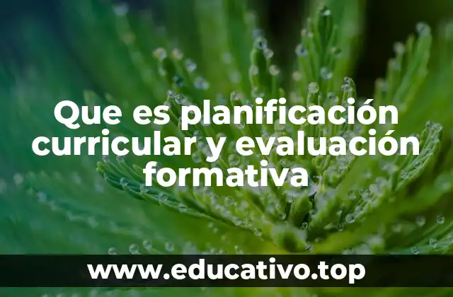 Que es planificación curricular y evaluación formativa
