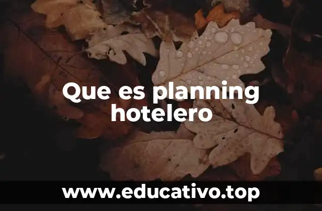 Que es planning hotelero