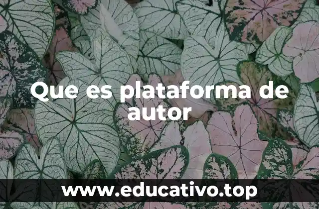Que es plataforma de autor