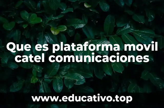 La importancia de contar con una plataforma móvil en el sector empresarial