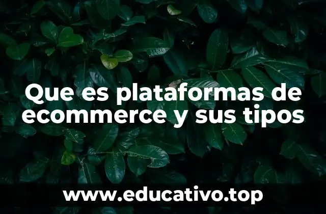 Que es plataformas de ecommerce y sus tipos