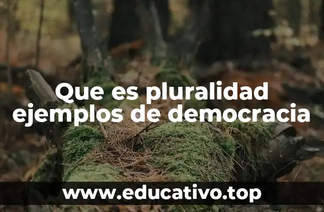 Que es pluralidad ejemplos de democracia