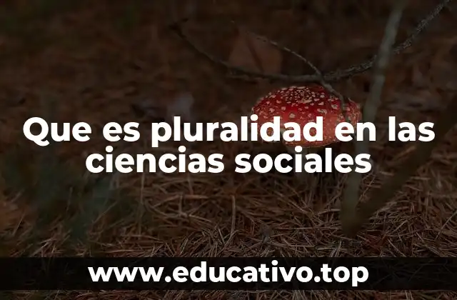 Que es pluralidad en las ciencias sociales