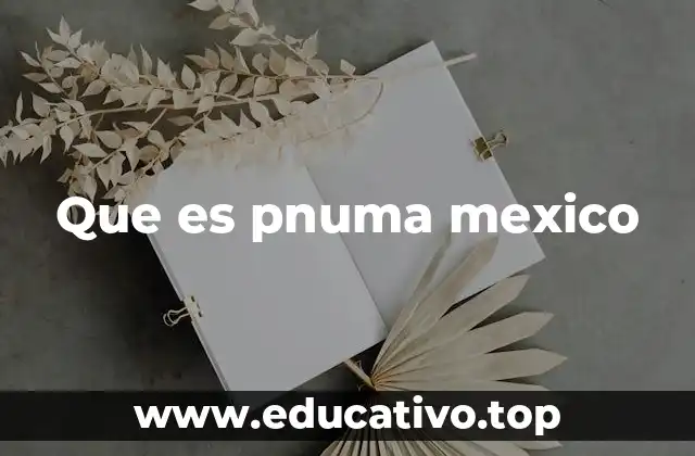 Que es pnuma mexico