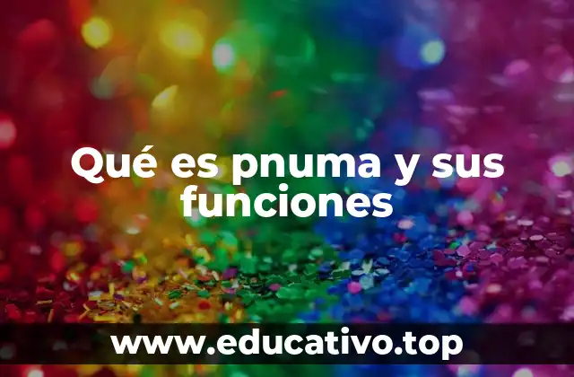 Qué es pnuma y sus funciones