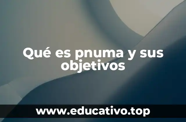 Qué es pnuma y sus objetivos