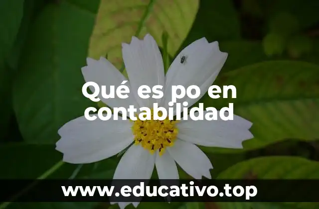 Qué es po en contabilidad
