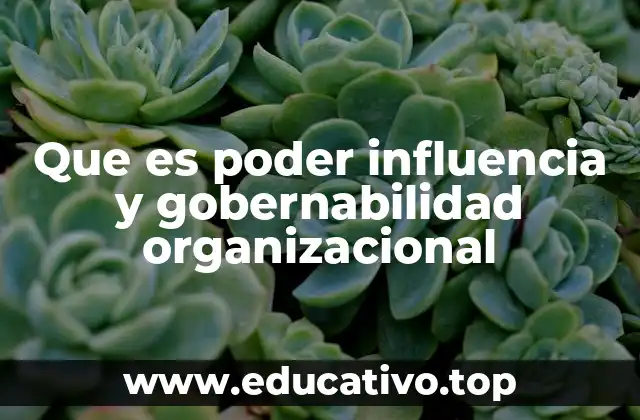Que es poder influencia y gobernabilidad organizacional