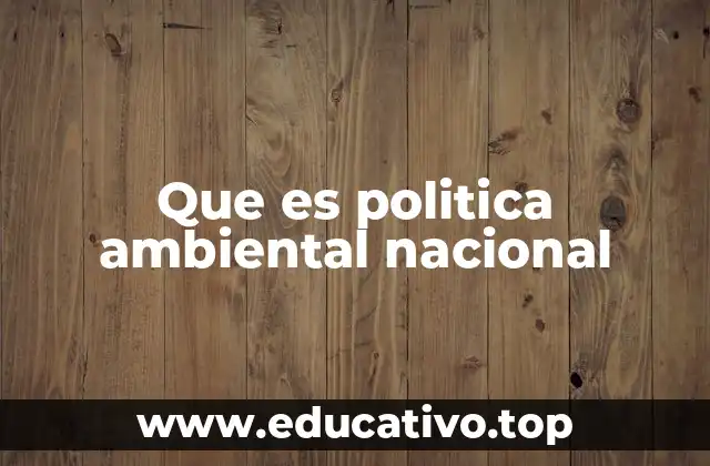 El papel del Estado en la protección del entorno natural