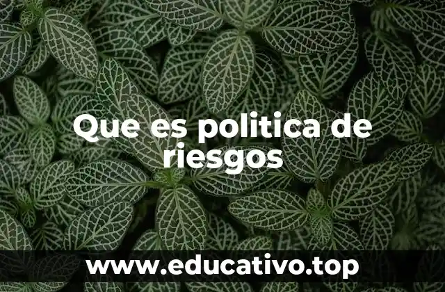 Que es politica de riesgos