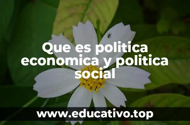 Que es politica economica y politica social