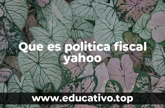 Que es politica fiscal yahoo