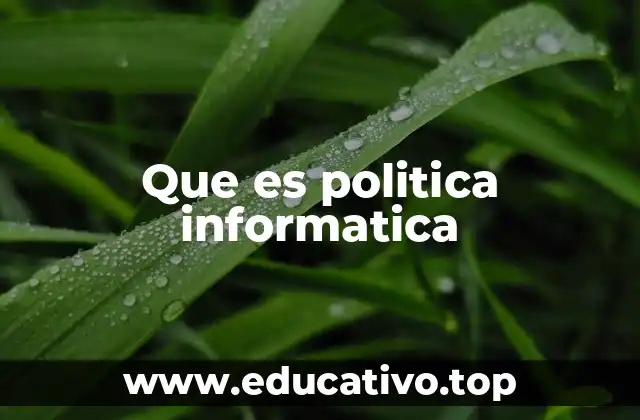 Que es politica informatica
