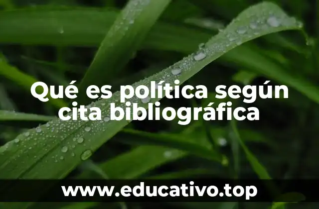 La evolución histórica de la definición de política