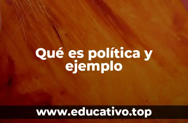 Qué es política y ejemplo