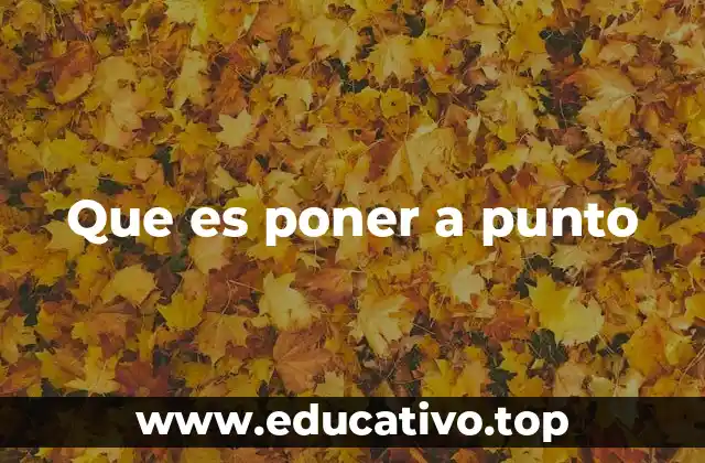 Que es poner a punto