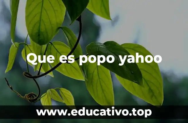 El fenómeno de las búsquedas curiosas en internet