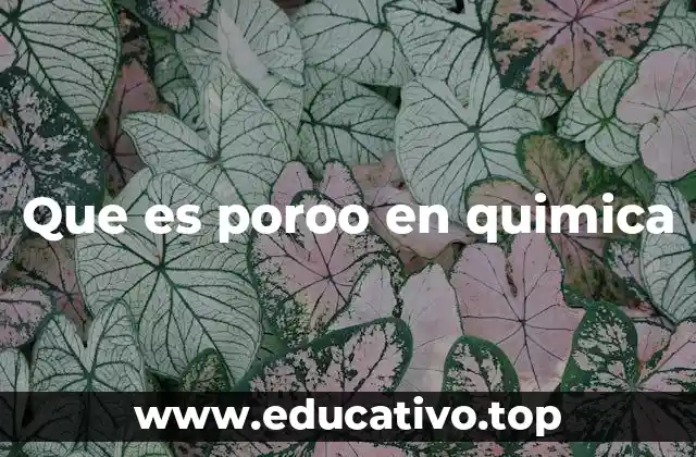 Que es poroo en quimica