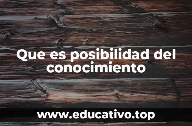 Que es posibilidad del conocimiento