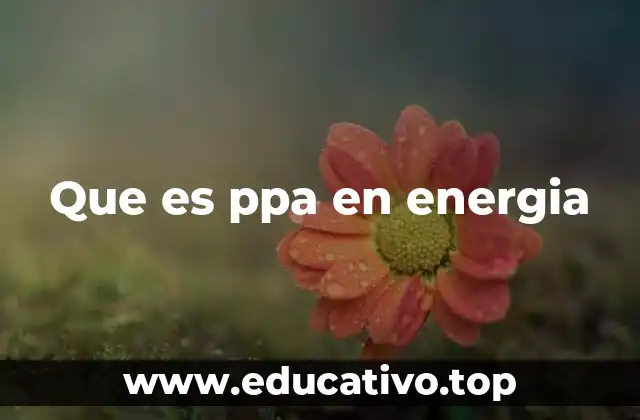 El papel de los acuerdos de compra de energía en la sostenibilidad