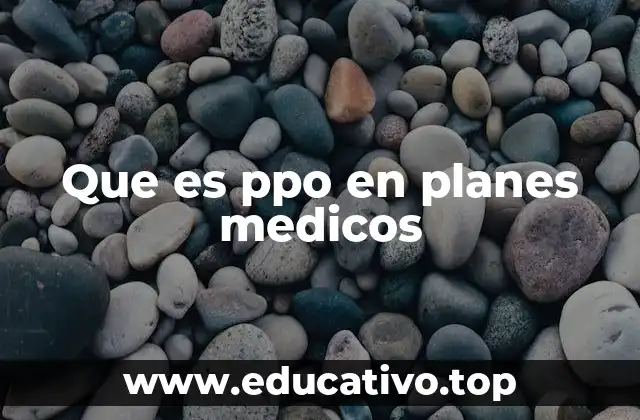 Que es ppo en planes medicos