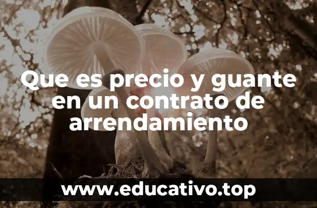 La importancia del precio y guante en la seguridad contractual