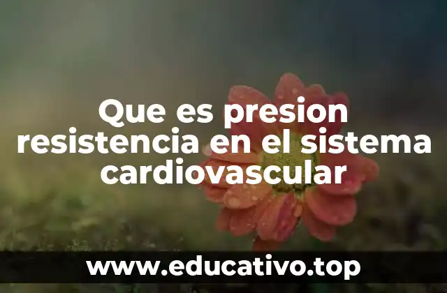 Que es presion resistencia en el sistema cardiovascular
