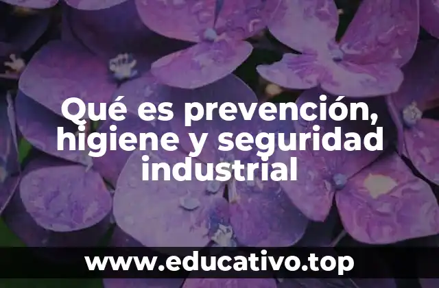 Qué es prevención, higiene y seguridad industrial