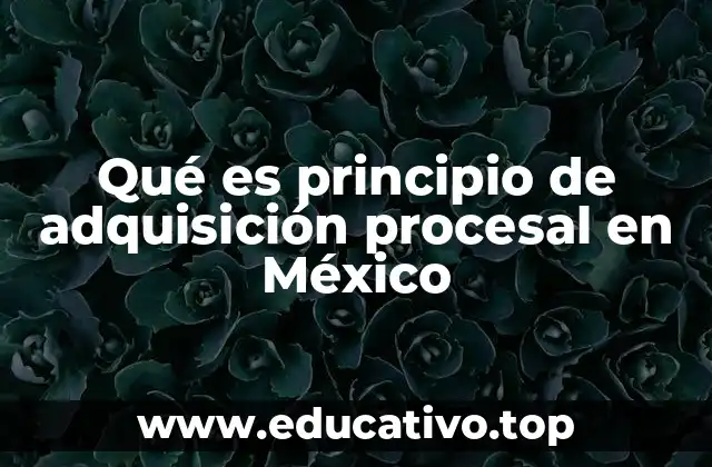 Qué es principio de adquisición procesal en México