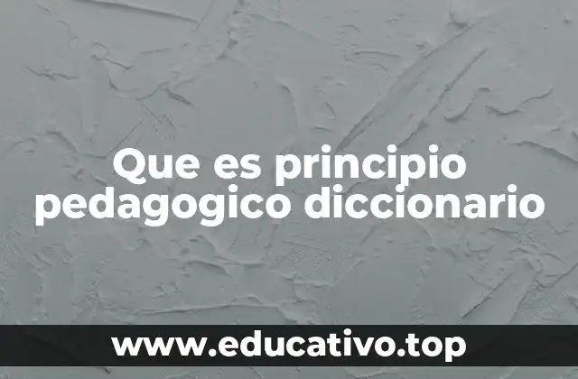 Que es principio pedagogico diccionario