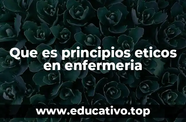 Que es principios eticos en enfermeria