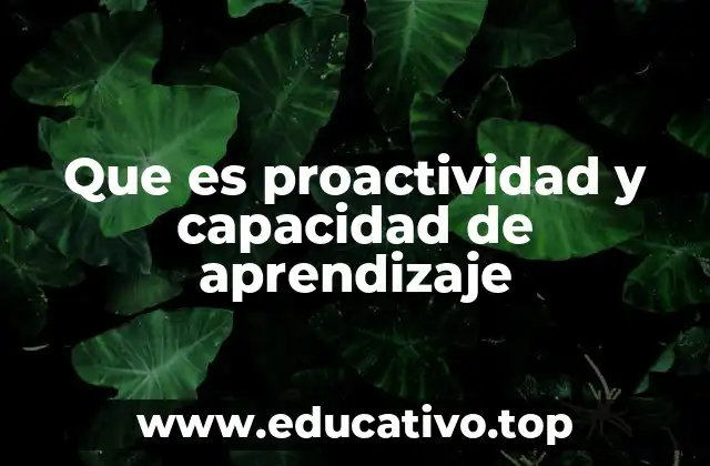 Cómo la proactividad y el aprendizaje transforman el entorno laboral