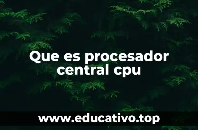 Que es procesador central cpu