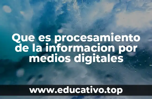 Que es procesamiento de la informacion por medios digitales