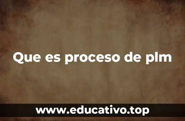 Que es proceso de plm