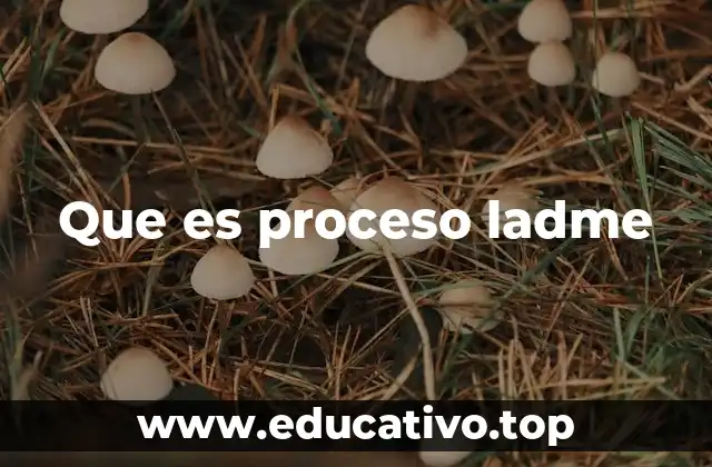 Que es proceso ladme