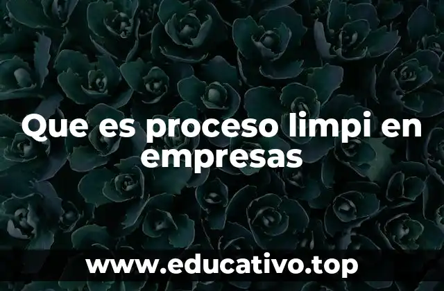 Que es proceso limpi en empresas