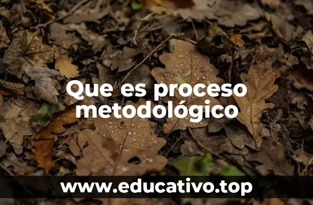 Que es proceso metodológico