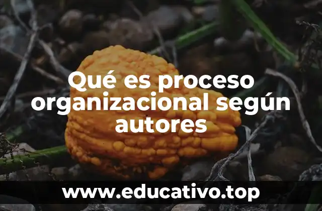 Qué es proceso organizacional según autores