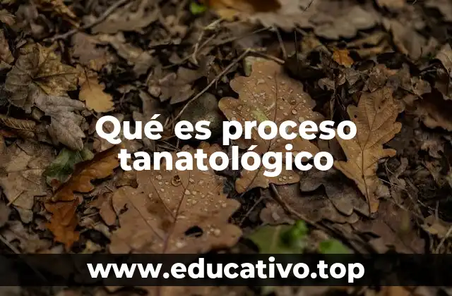 La importancia de comprender el proceso tras la muerte