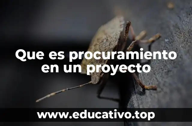 Que es procuramiento en un proyecto