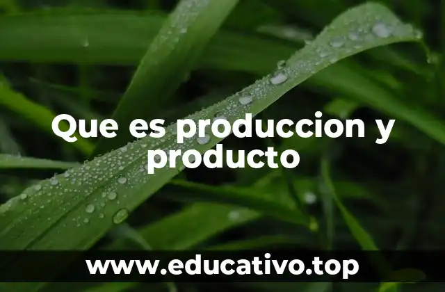 Que es produccion y producto