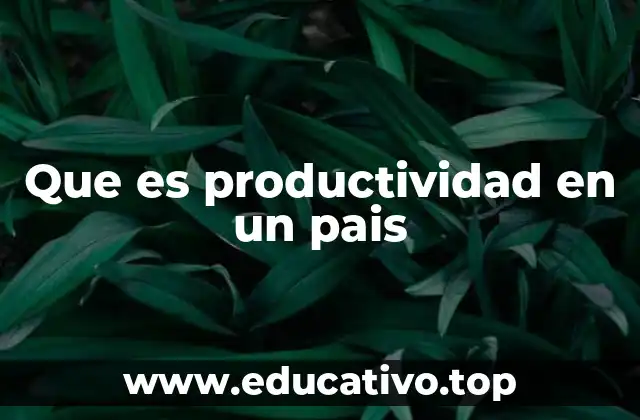 La importancia de la productividad en la economía nacional